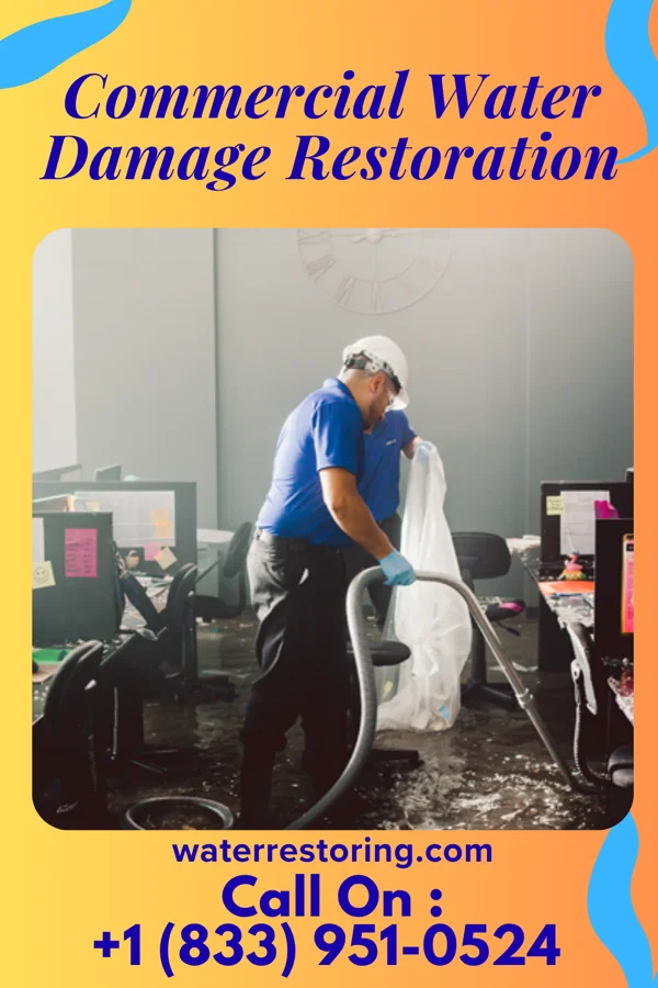 Commercial Water Damage Restoration in Herman, NE