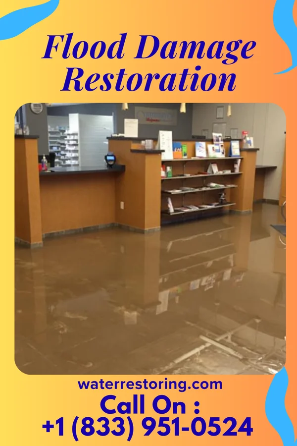 Flood Damage Restoration in Herman, NE